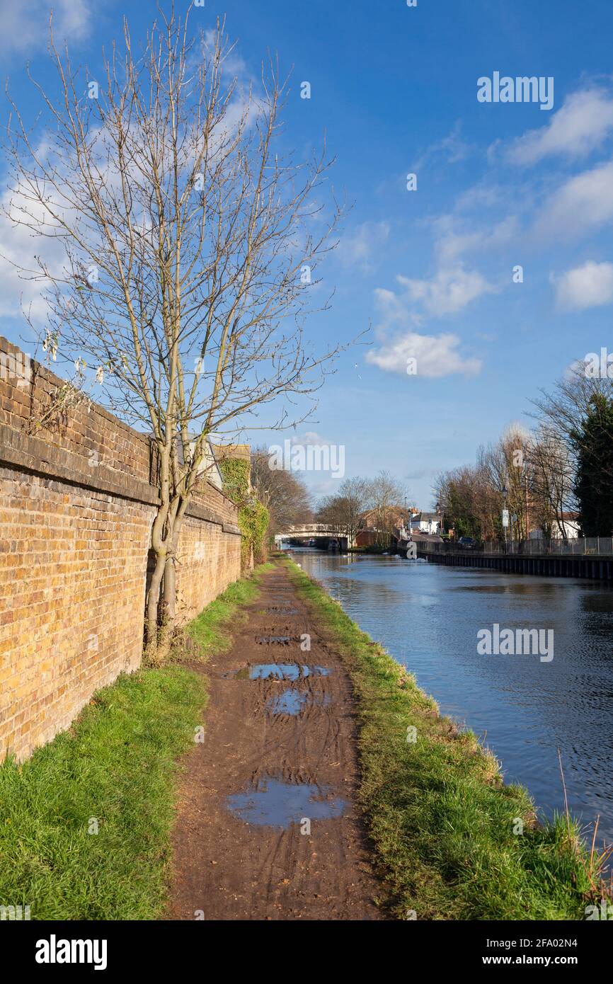 Regno Unito, Inghilterra, Londra, Southall, Grand Union Canal Walk vicino a Whitley Wharf Foto Stock