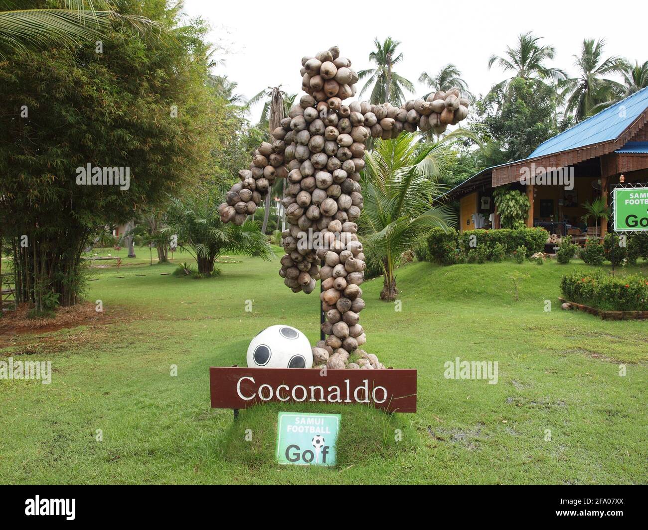 Una scultura insolita di un famoso calciatore, fatta di noci di cocco presso il campo da calcio-golf di Koh Samui - Koh Samui, Thailandia Foto Stock