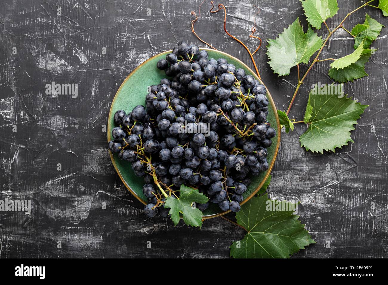 Uve nere in piastra con pianta di vite su tavolo scuro vista dall'alto. Cibo di uva succosa dolce su fondo nero di cemento piatto posato. Foto Stock