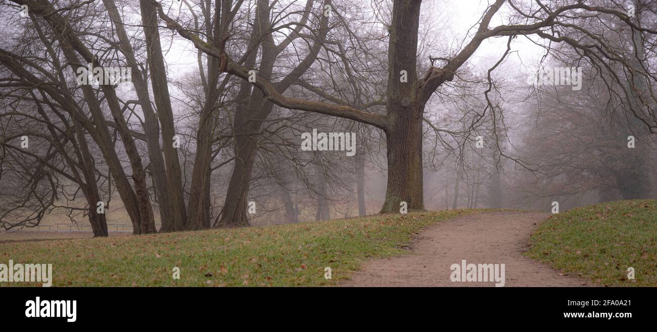 Giornata di Misty nei parchi di Potsdams Foto Stock