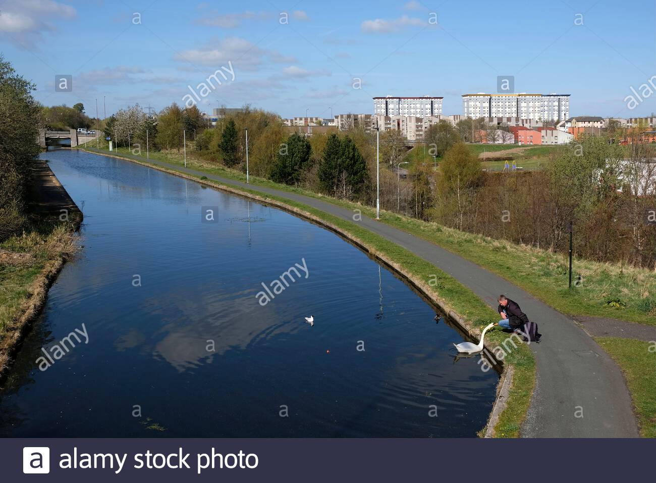 Union Canal a Wester Hailes con una vista verso i blocchi torre a Sighthill, Edimburgo, Scozia Foto Stock