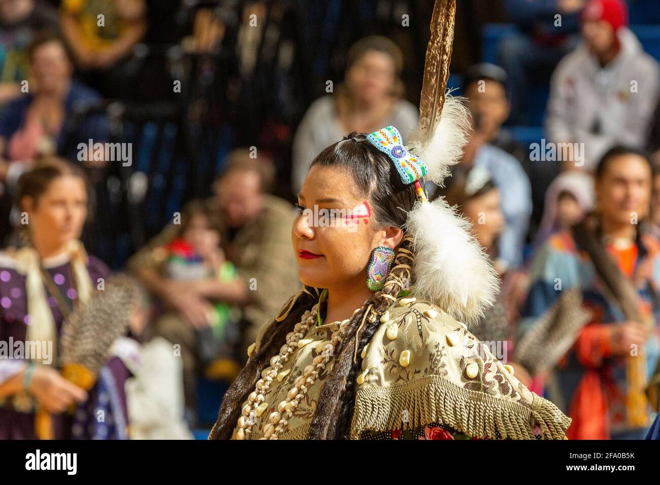 Festa indigena del Pow Wow Foto Stock