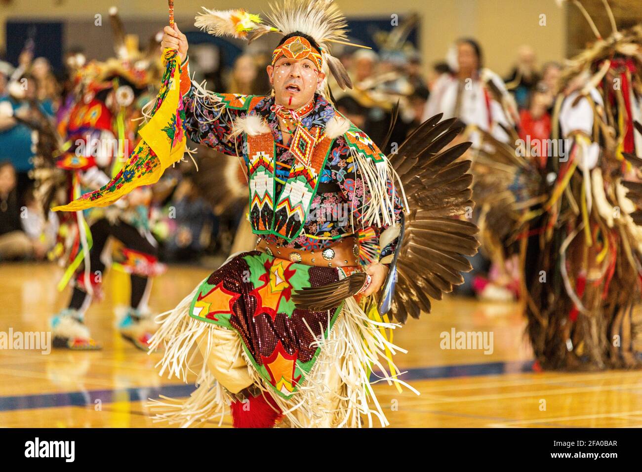 Festa indigena del Pow Wow Foto Stock