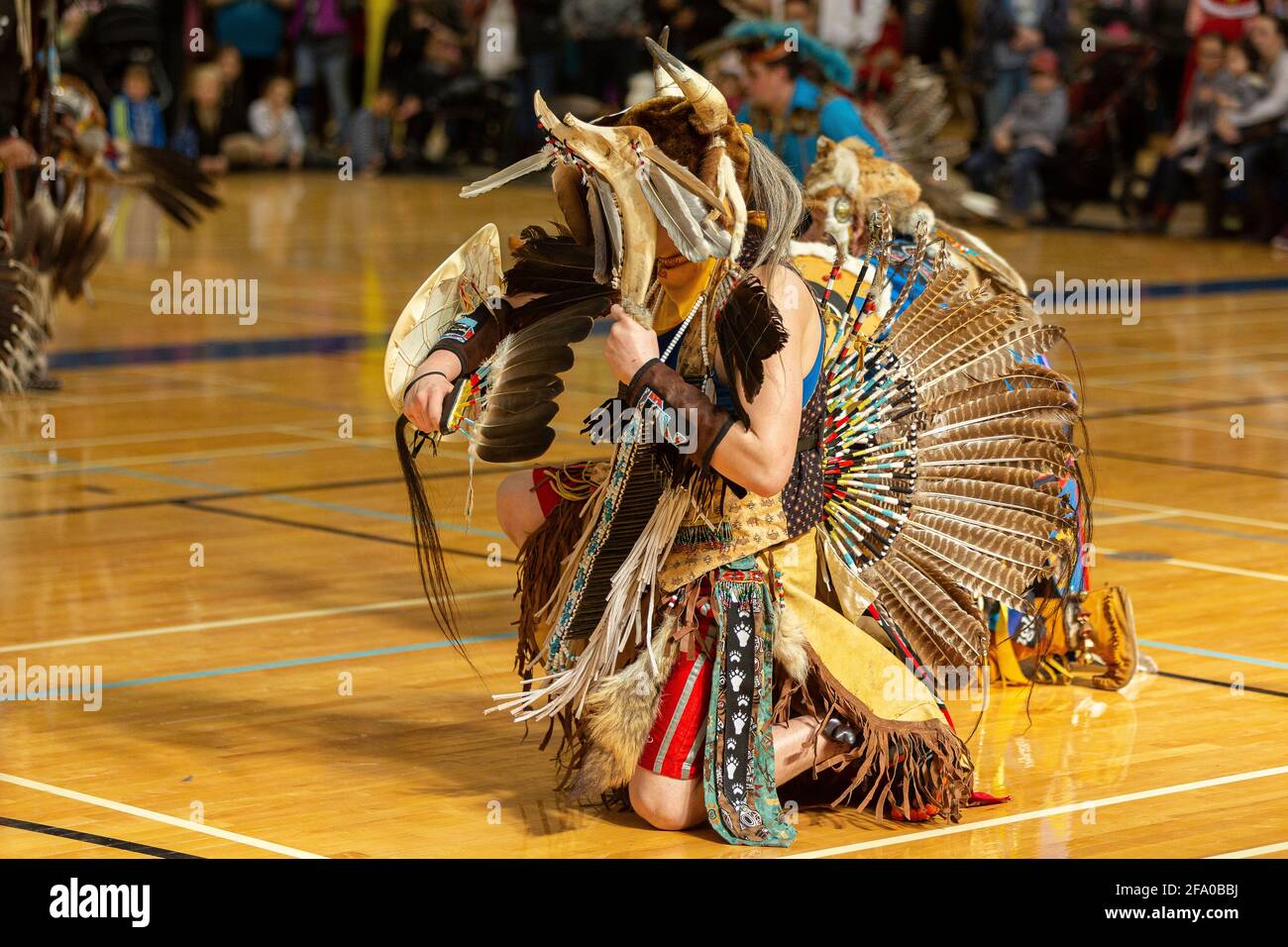 Festa indigena del Pow Wow Foto Stock