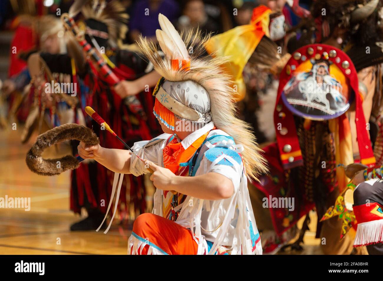 Festa indigena del Pow Wow Foto Stock