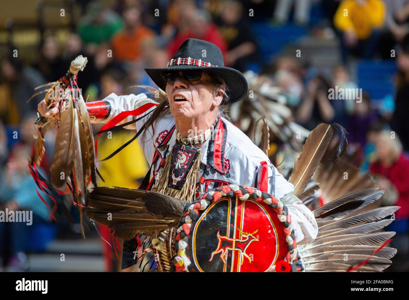 Festa indigena del Pow Wow Foto Stock