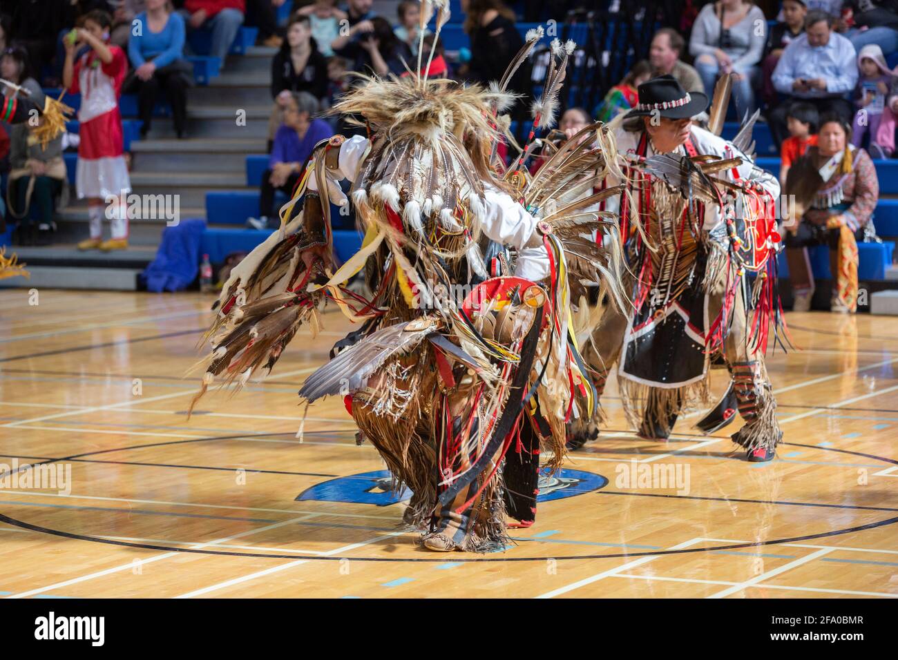 Festa indigena del Pow Wow Foto Stock