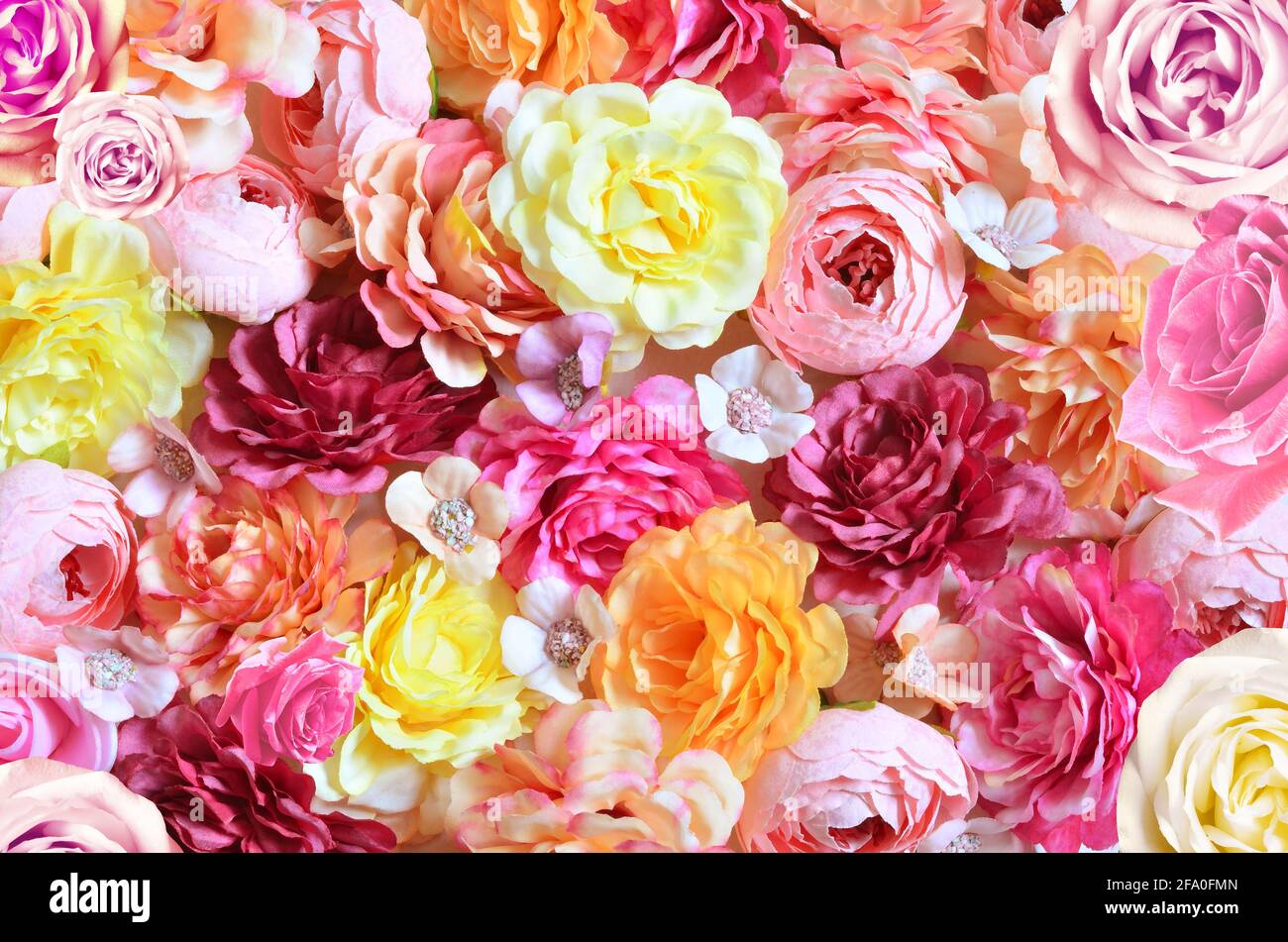 Rose colorate e piccoli fiori sfondo. Bello, buono per vacanze e regalo. Foto Stock