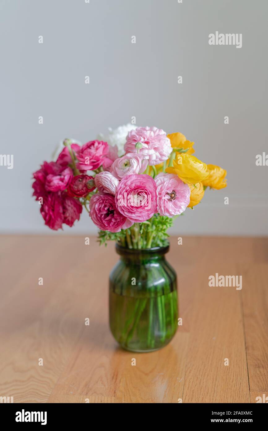 Ranunculus fiori primo piano bellissimo butterCup fresco fiore di primavera Foto Stock