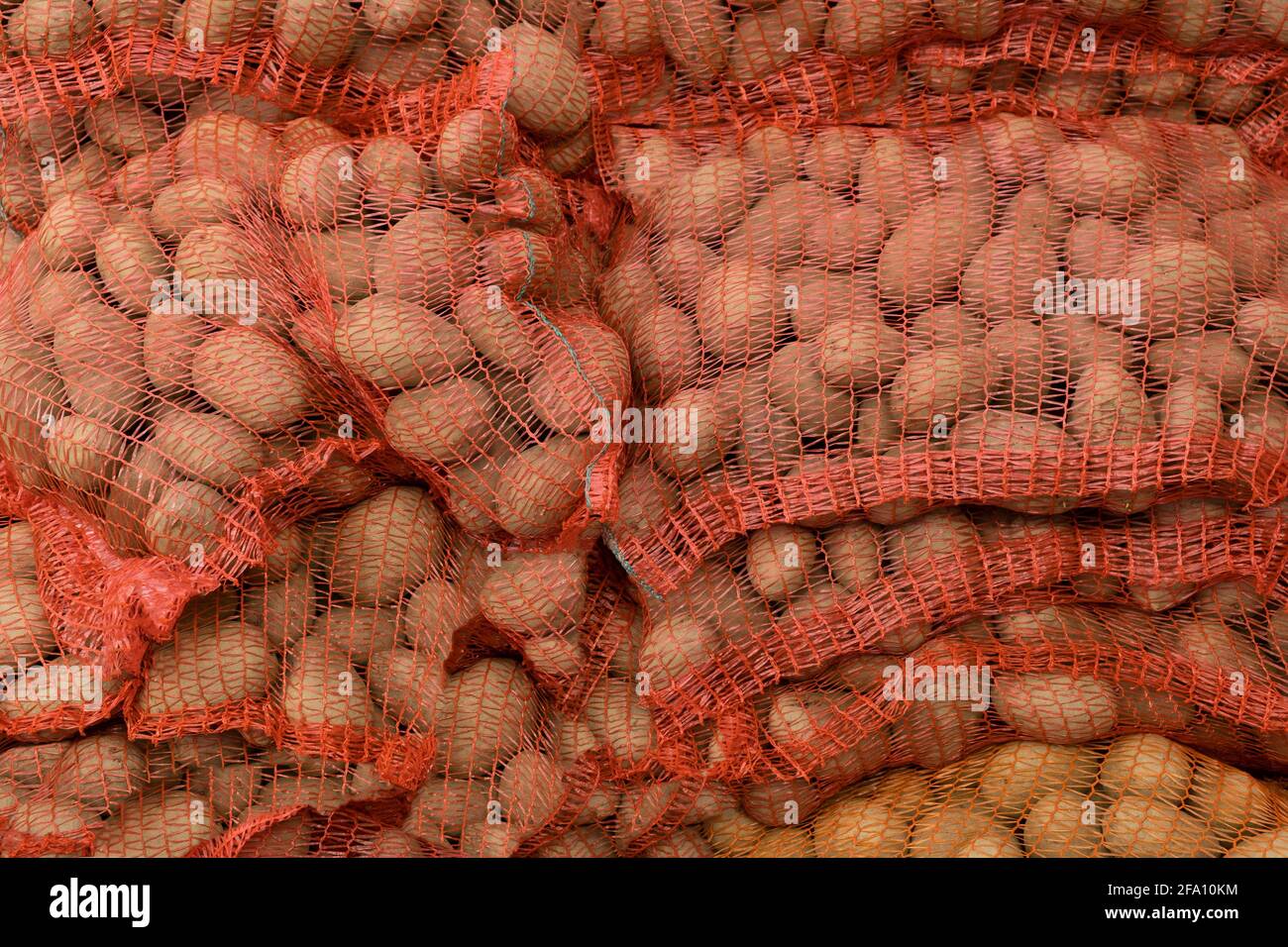 Patate rosse in sacchi di rete di burlap rosso sul pallet al mercato. Cibo grezzo di fondo Foto Stock