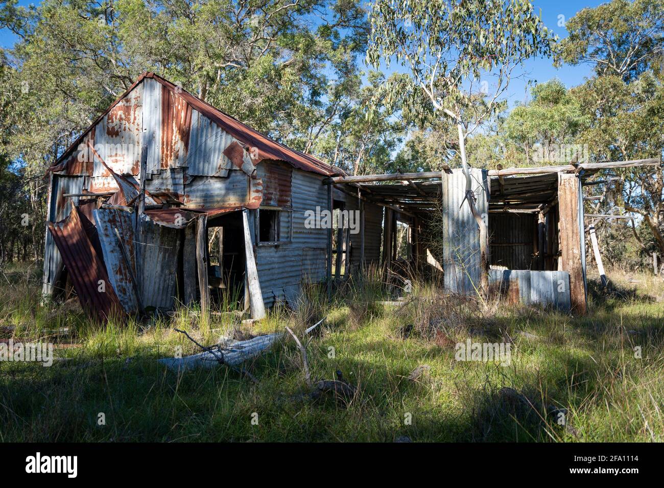 Abbandonato ferro corrugato capannone da stagno miniera era, Emmaville, New England Tablelands, NSW Australia Foto Stock