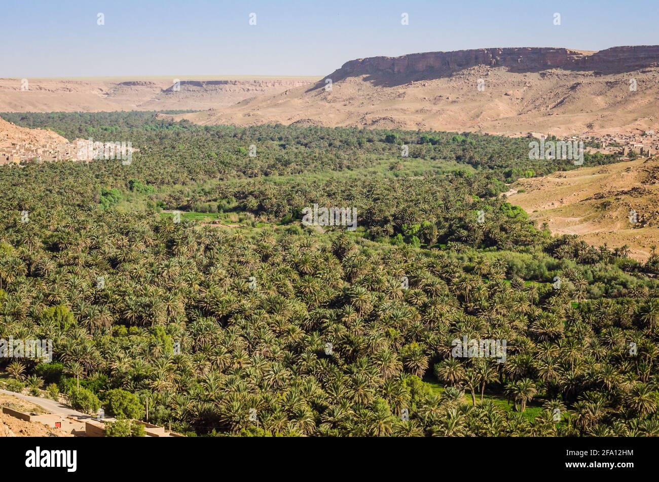Verde palma valle dal fiume Ziz in Marocco nel mese di aprile 2015 Foto Stock