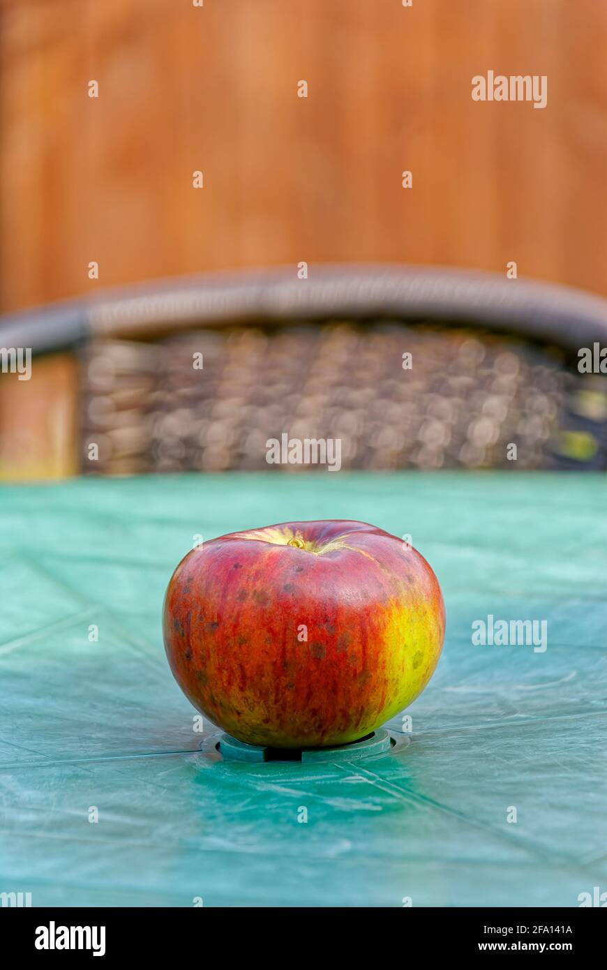 Mela sul tavolo - cartolina dal giardino. Foto Stock