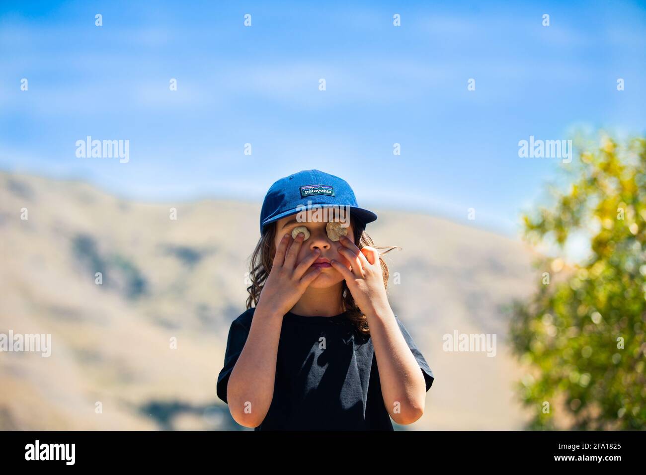 Escursioni nella penisola di Banks Foto Stock