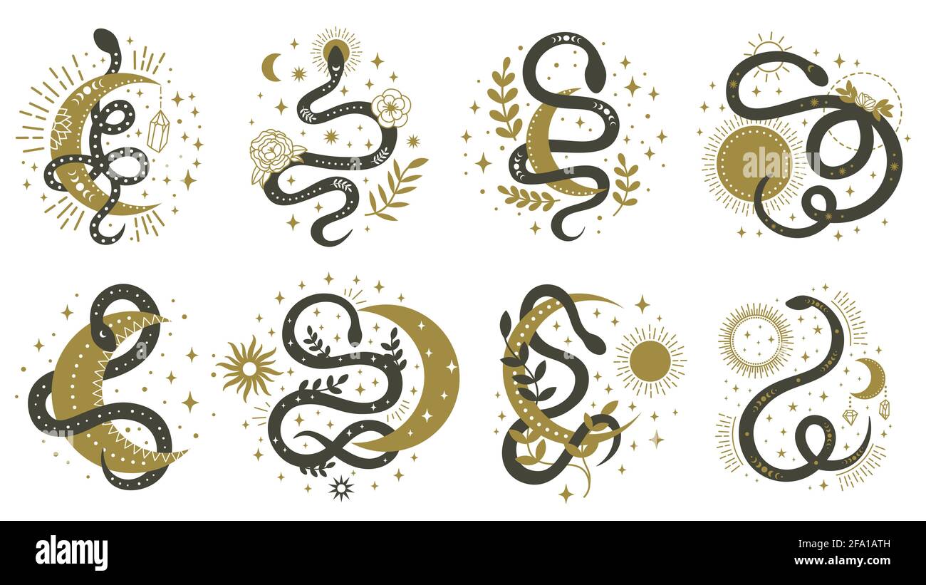 Serpenti mistici. Boho floreale e astrologia elementi minimalisti con serpenti wriggling illustrazione vettoriale set. Simboli magici del serpente spirituale Illustrazione Vettoriale