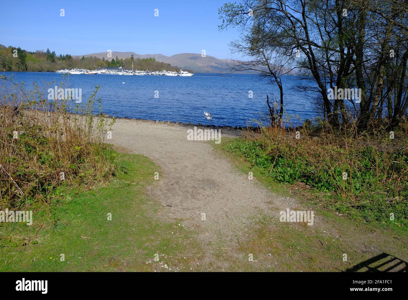 Loch Lomond in un giorno di aprile soleggiato Foto Stock