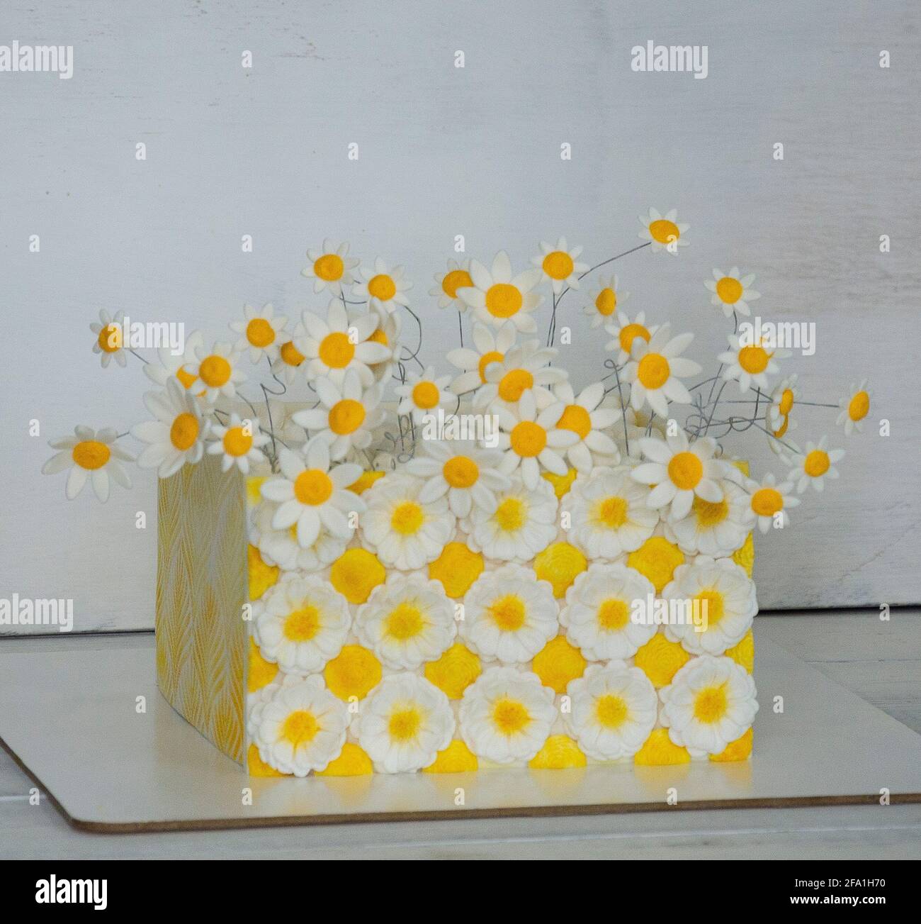 Torta fondant quadrata con margherite Foto Stock