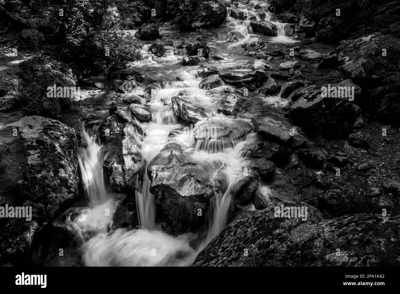 Fotografia d'arte di acque poco profonde del fiume che si spruzzi e che cadono sul letto roccioso del fiume nella foresta panoramica della Nuova Zelanda. Foto Stock