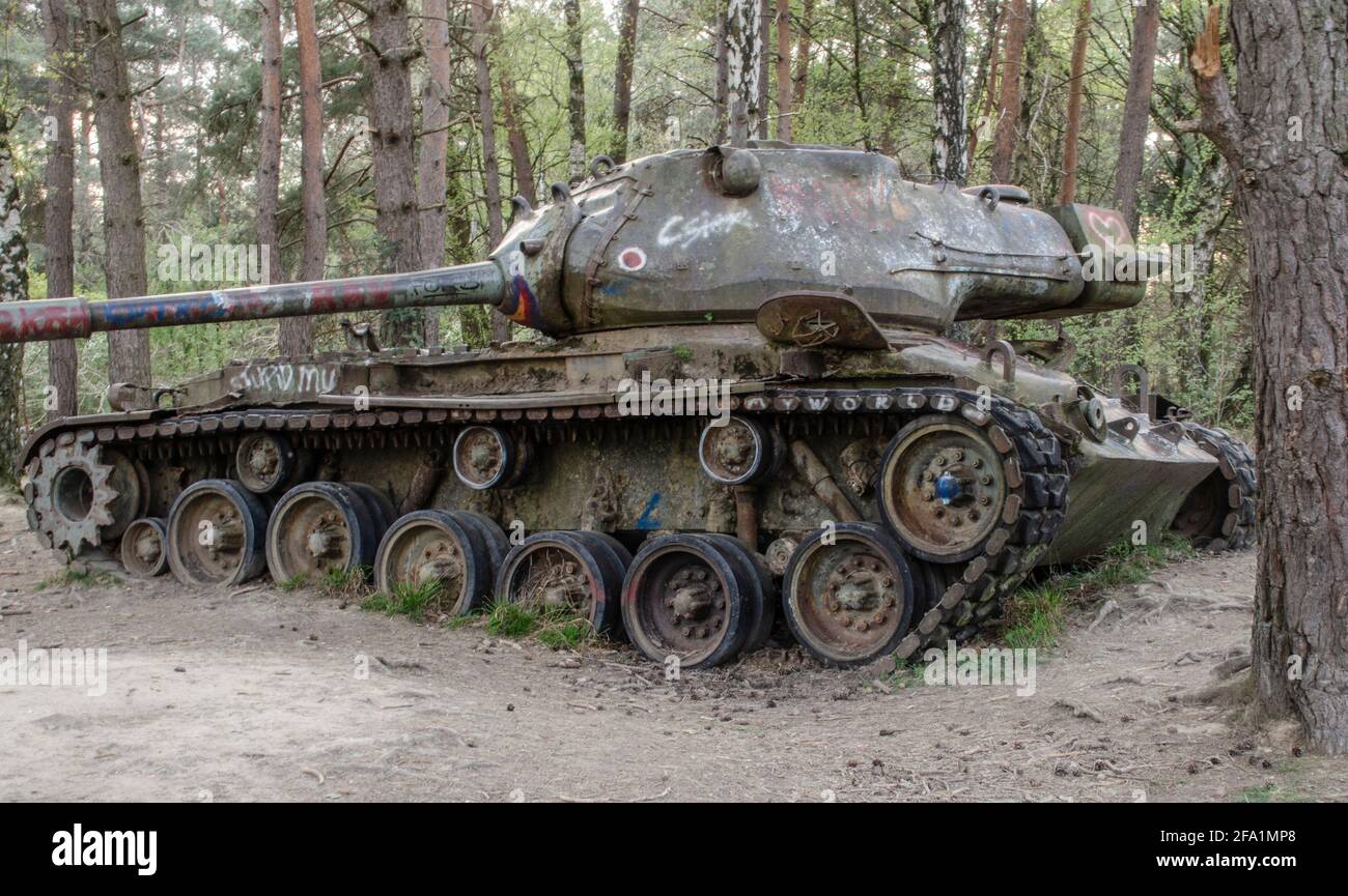 Panzer im Wald Foto Stock