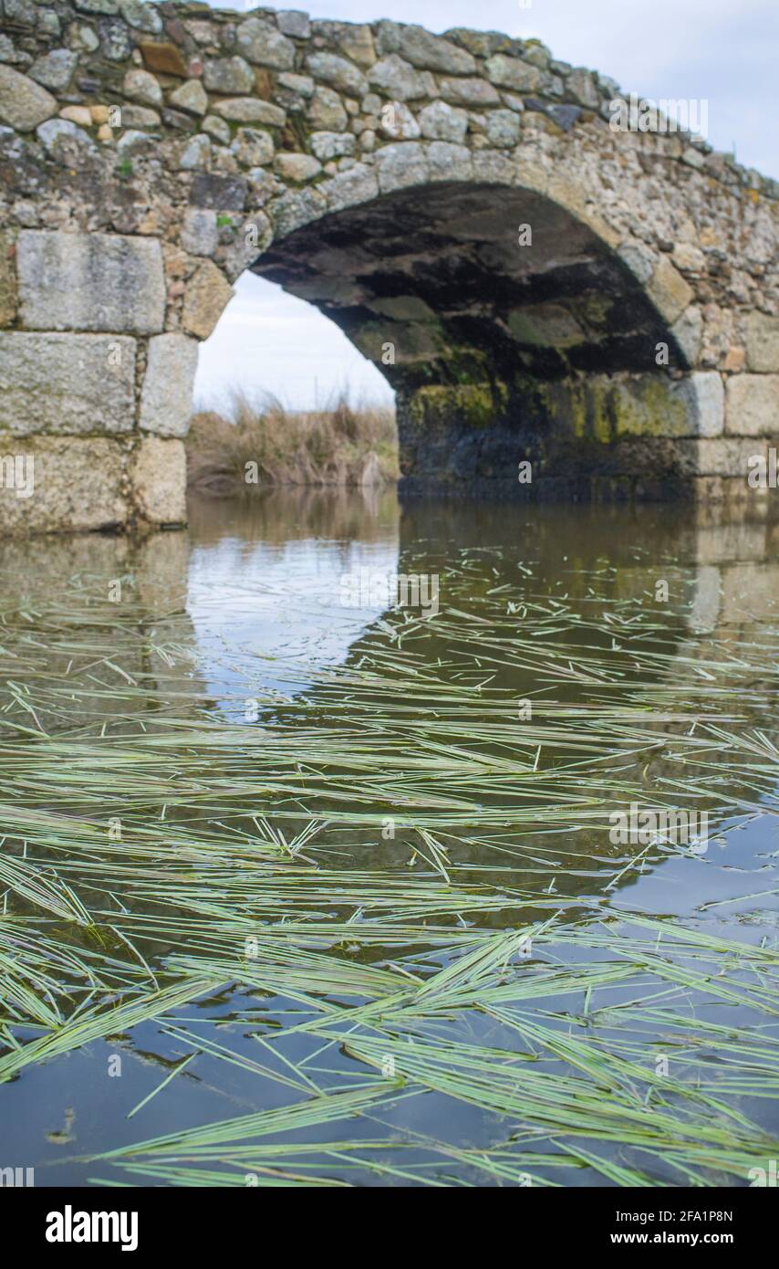 Ponte medievale di Santiago de Bencaliz vicino al villaggio di Aldea del Cano, Caceres, Spagna. Questo fa parte della Via de la Plata Way o della Via d'Argento, A. Foto Stock