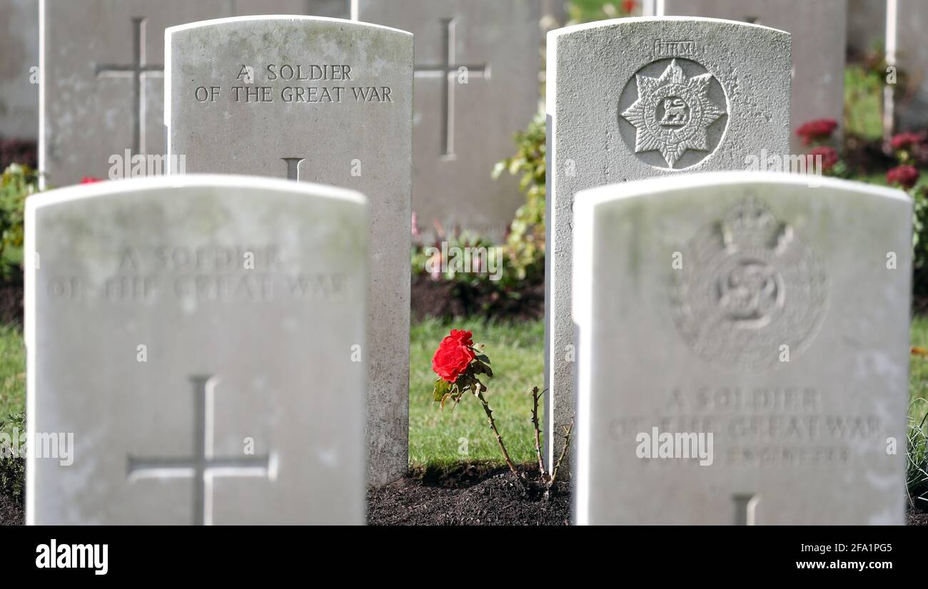 File foto datata 10/10/2019 di una rosa che cresce tra le lapidi del cimitero militare Wytschaete della Commonwealth War Graves Commission, vicino a Ypres, Belgio. La Commonwealth War Graves Commission (CWGC) si è scusata dopo che le sue indagini hanno scoperto che potenzialmente centinaia di migliaia di personale di servizio prevalentemente nero e asiatico morto in lotta per l'Impero britannico non sono stati formalmente ricordati allo stesso modo dei loro compagni bianchi. Foto Stock