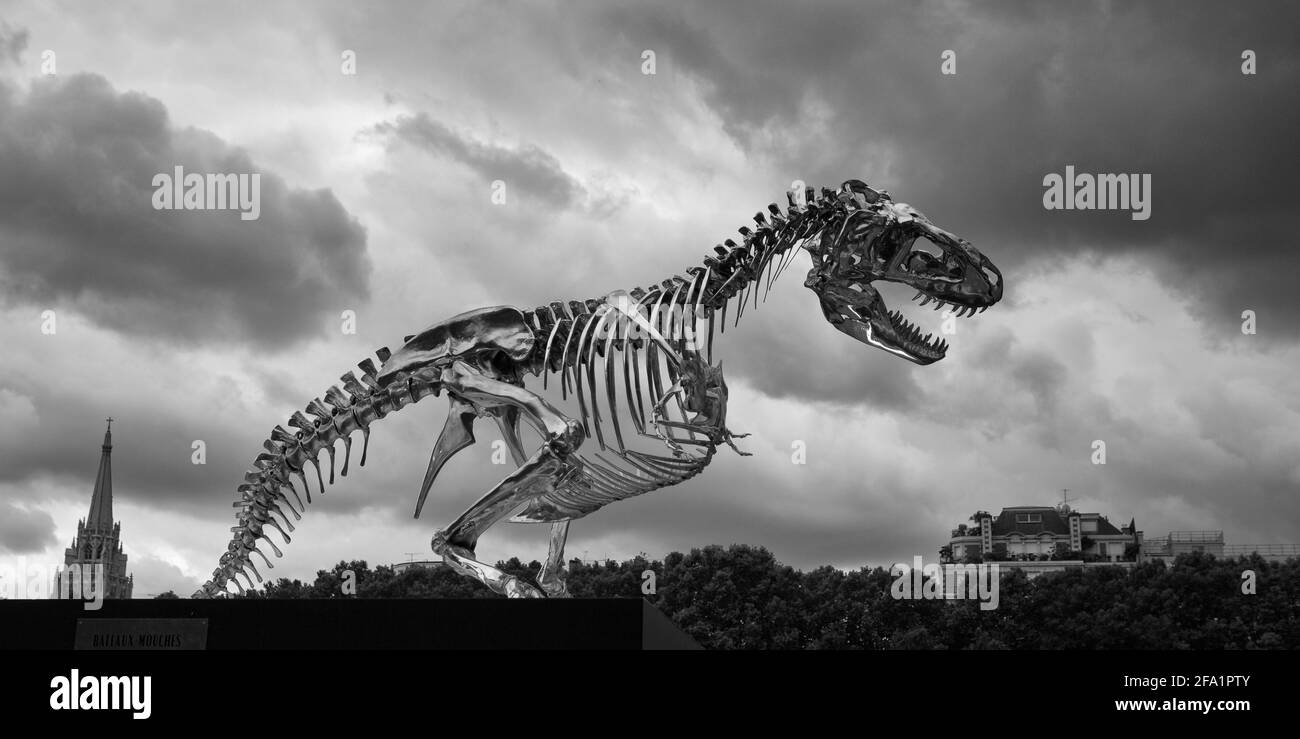 Parigi in bianco e nero Foto Stock