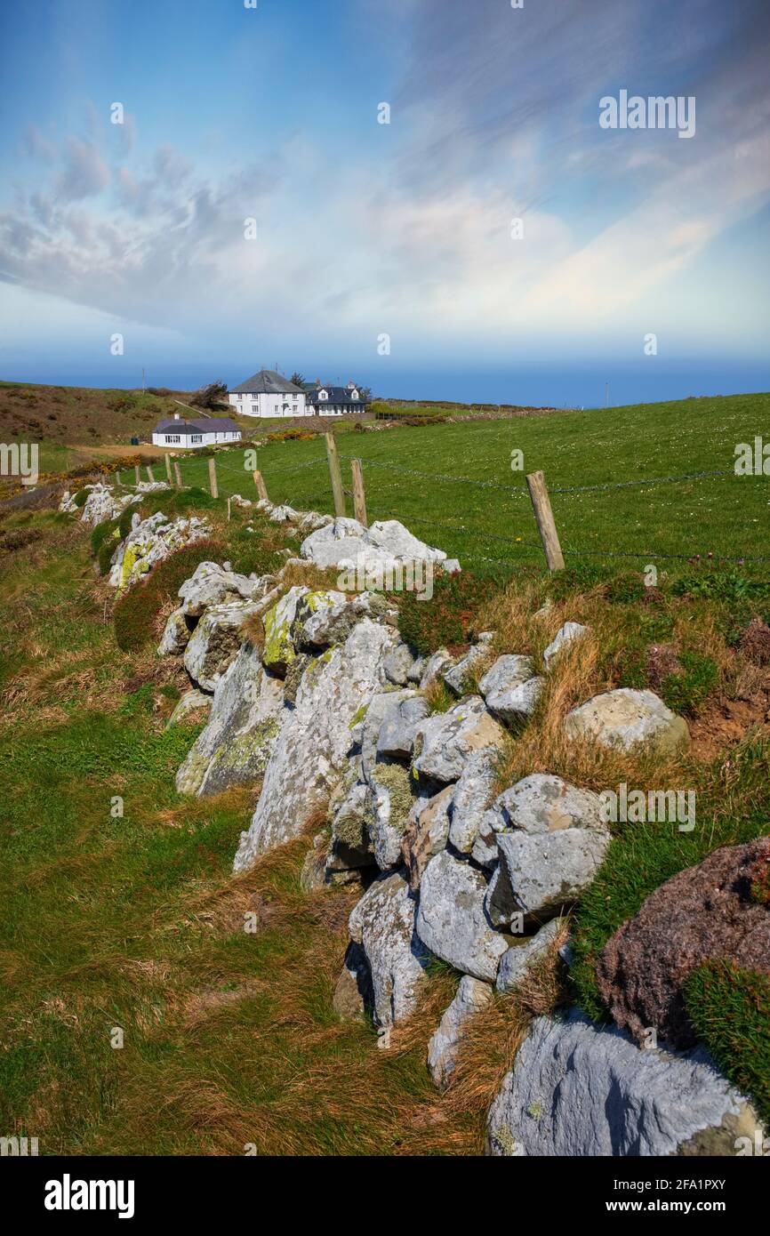 Case lungo il sentiero costiero Pembrokeshire a Strumble Head. Foto Stock