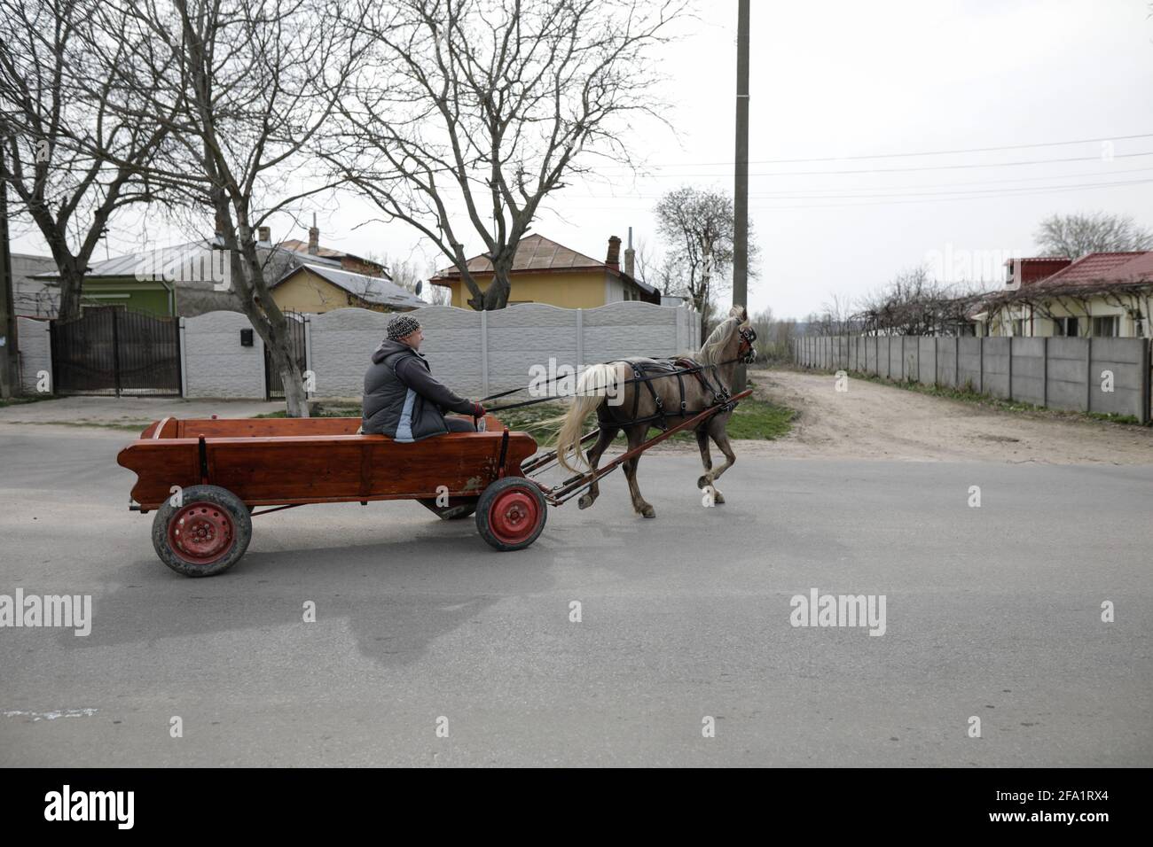 Sintesti, Romania - 2 aprile 2021: L'uomo guida un carro trainato da cavalli su una strada pubblica. Foto Stock