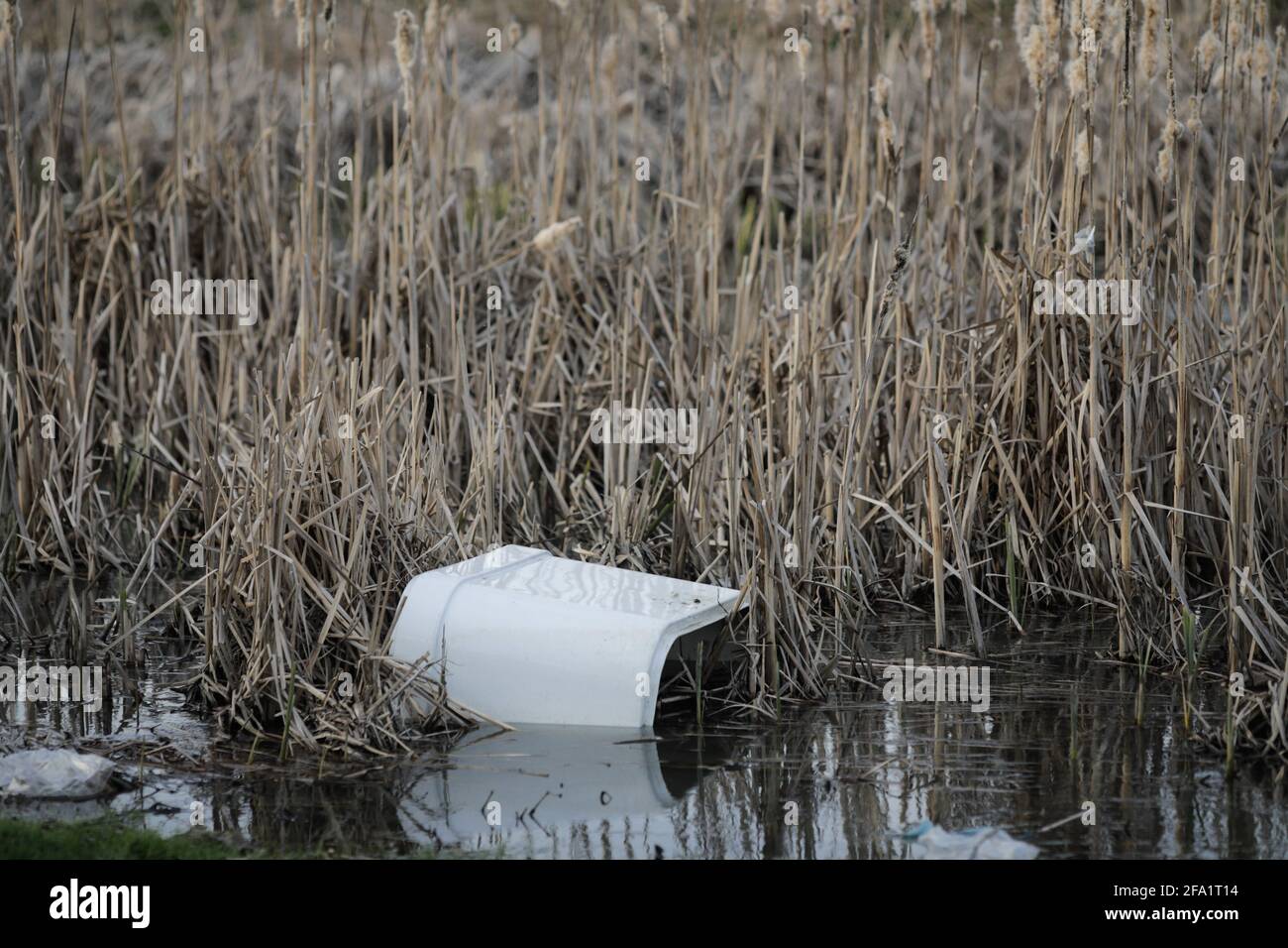 I rifiuti industriali e domestici inquinano un flusso di acqua. Foto Stock