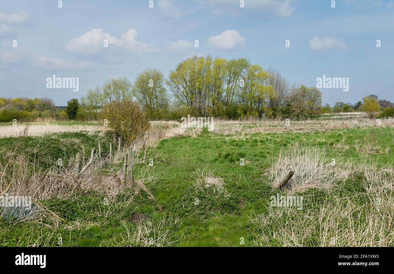 Terreno sopravivestito e fiuto con alte erbe delimitate da scherma e pali di legno marcio lungo Minster Way in un luminoso giorno di primavera. Foto Stock
