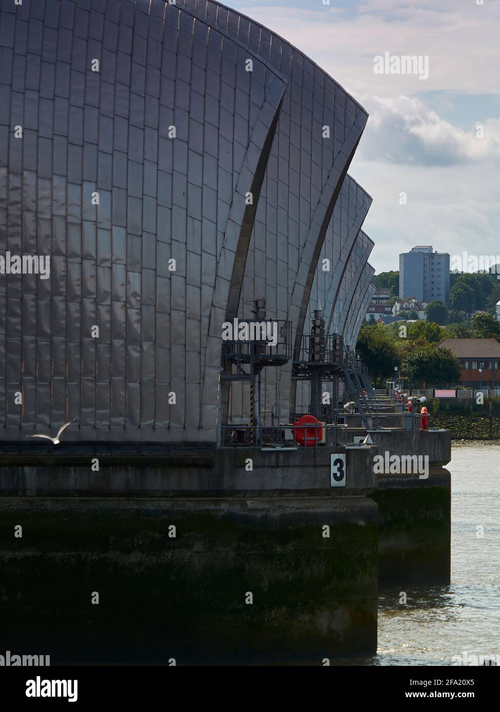 Un gabbiano sull'ala di fronte alle immense strutture aliene, come conchiglie della barriera del Tamigi, con alberi e un blocco torre all'orizzonte. Foto Stock