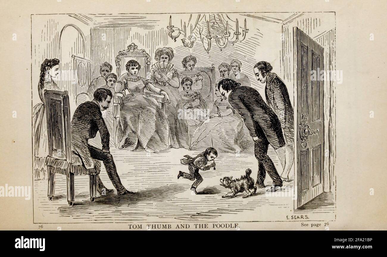 TOM THUMB E IL POODLE dal libro autobiografico ' lotte e trionfi; o, quarant'anni 'ricordi di P.T. Barnum ' di Barnum, P. T. (Phineas Taylor), 1810-1891 pubblicato dalla Courier Company Buffalo, N.Y. nel 1879. Phineas Taylor Barnum (5 luglio 1810 – 7 aprile 1891) è stato uno showman, un politico e un uomo d'affari americani, ricordato per aver promosso le famose truffe e per aver fondato il Barnum & Bailey Circus (1871–2017). Era anche un autore, un editore e un filantropo, Foto Stock