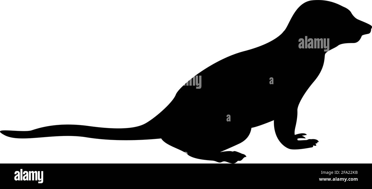 Silhouette meerkat in posa suricata suricatta colore nero illustrazione vettoriale immagine semplice stile piatto Illustrazione Vettoriale