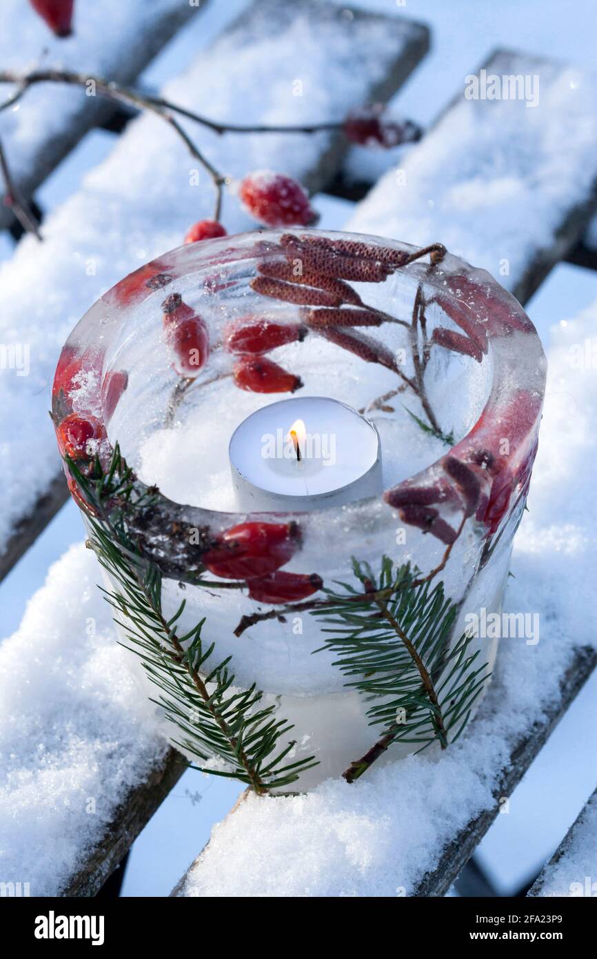 Lanterna di ghiaccio, la candela brucia all'interno di una bacinella di ghiaccio, decorata con materiali naturali congelati racchiusi nel ghiaccio, in Germania Foto Stock