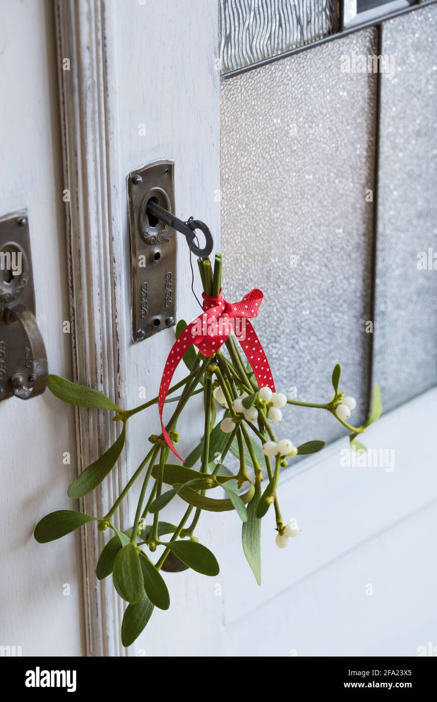 Mistletoe (album secondario Viscum, album Viscum), piccolo bouquet di mistletoes, decorazione a una porta guardaroba, Germania Foto Stock