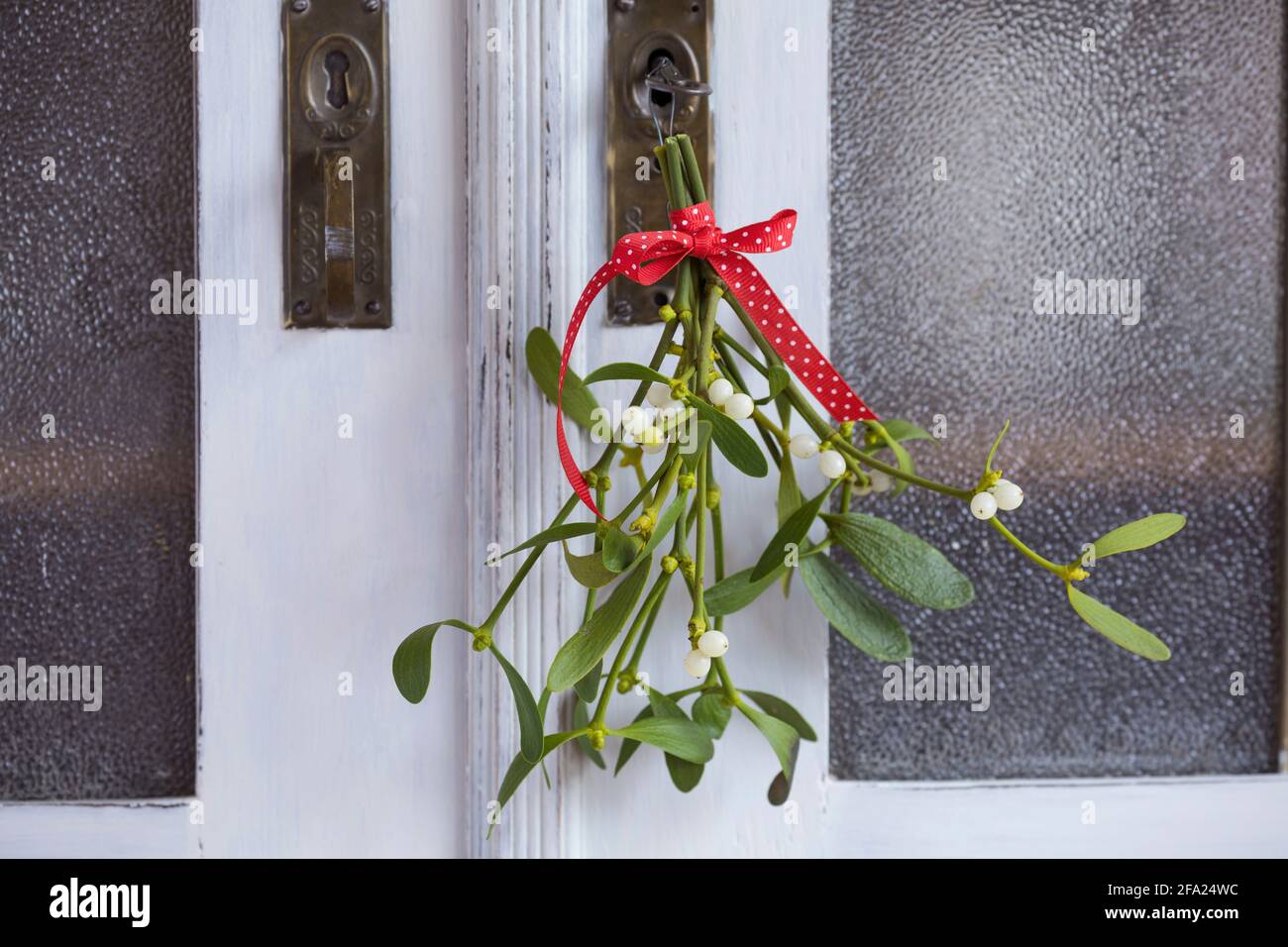 Mistletoe (album secondario Viscum, album Viscum), piccolo bouquet di mistletoes, decorazione a una porta guardaroba, Germania Foto Stock