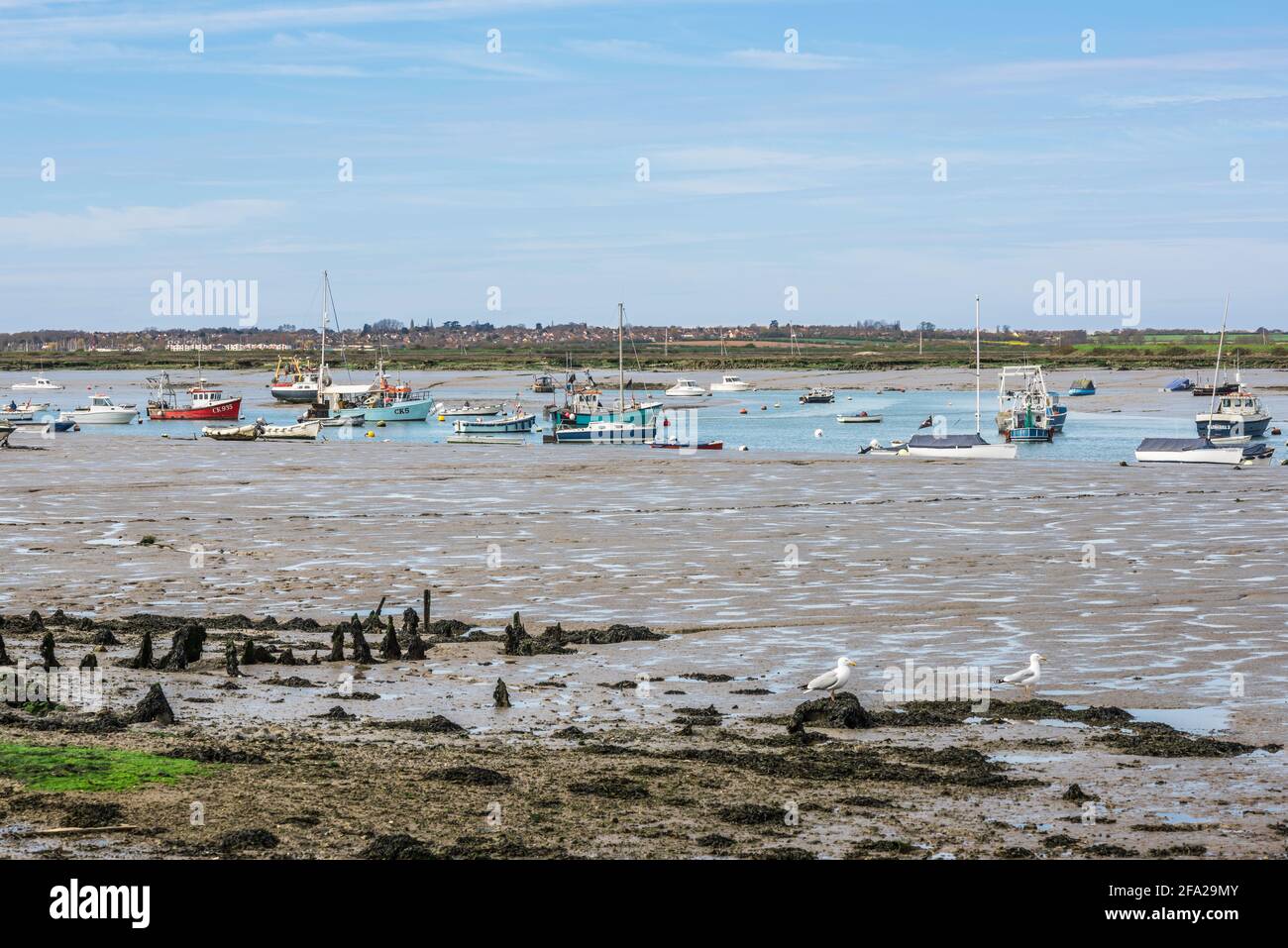 Mersea Flats Essex, vista a bassa marea attraverso i mudflats che separano Mersea Island da Little Wigborough, Essex, Regno Unito Foto Stock