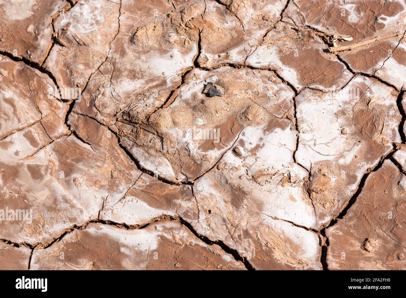 Terreno asciutto e incrinato del terreno a causa della siccità in Cina Foto Stock