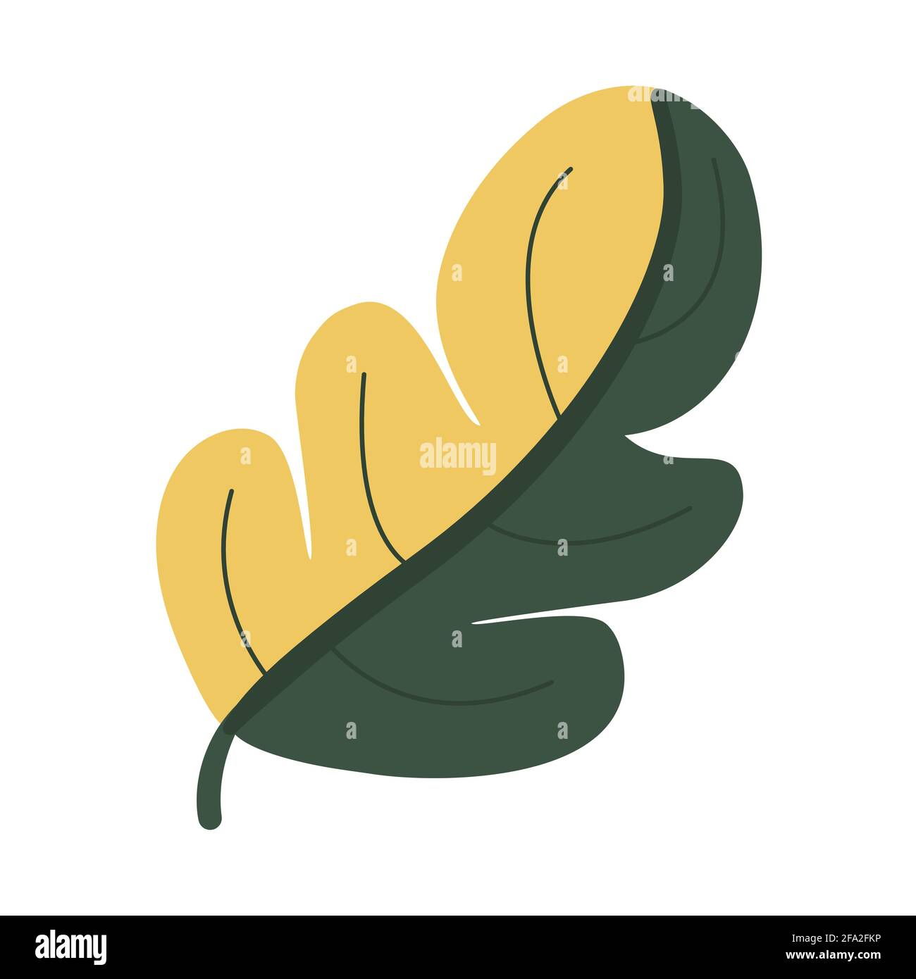 Foglia oblunga di quercia bicolore semi-giallo verde, elemento floreale in stile doodle, disegno a mano Illustrazione Vettoriale