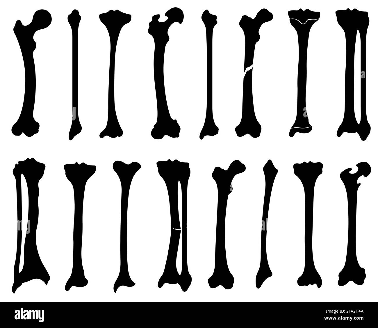 Set di ossa umane delle gambe isolate su bianco Foto Stock