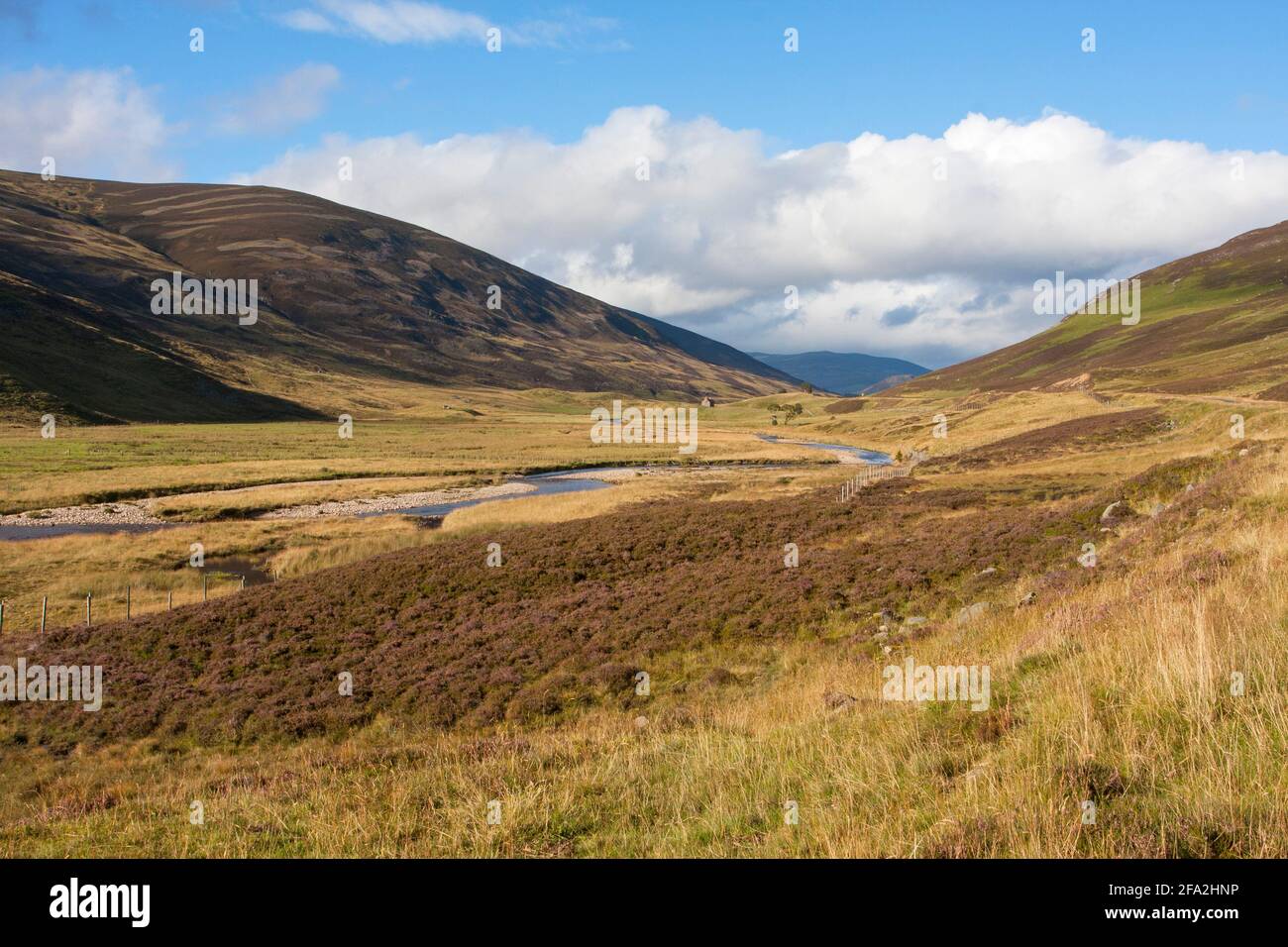 L'acqua di Clunie che scorre attraverso la brughiera, Glen Shee, vicino a Braemar, le Highlands, Scozia, REGNO UNITO. Foto Stock