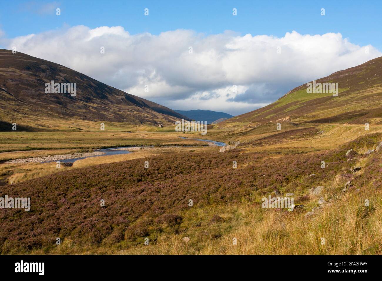 L'acqua di Clunie che scorre attraverso la brughiera, Glen Shee, vicino a Braemar, le Highlands, Scozia, REGNO UNITO. Foto Stock