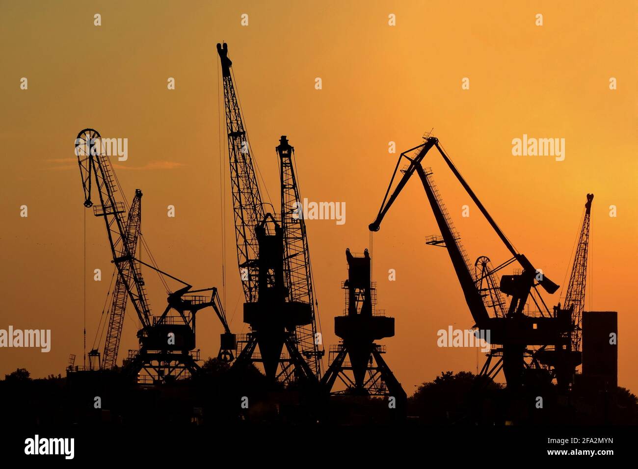 Sagome di gru per il carico di container su autoponte/navi da carico il porto al tramonto Foto Stock