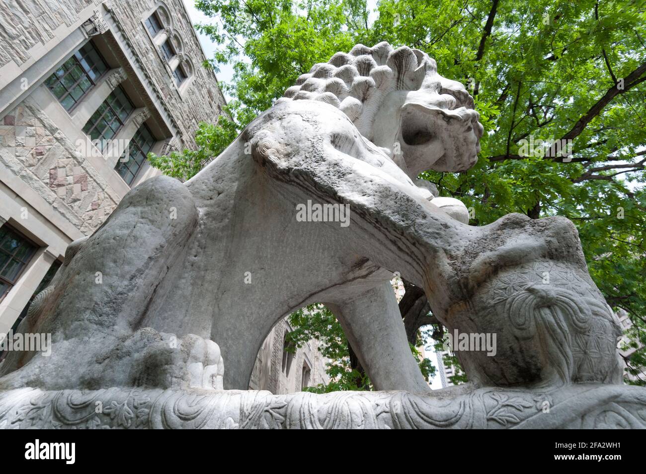 Royal Ontario Museum (Toronto) - leone guardiano cinese - uomo - vista dal basso Foto Stock