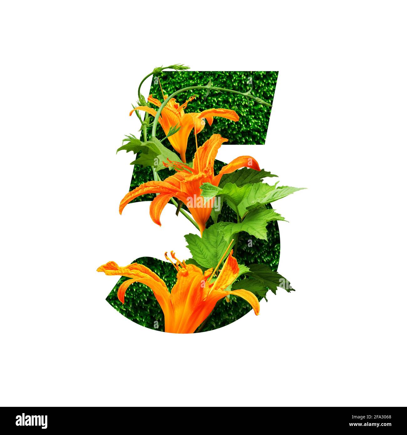 illustrazione dell'alfabeto floreale, cinque cifre. set di lettere con bouquet botanico. inviti di nozze, biglietti d'auguri, compleanno, logo, poster altro ide Foto Stock