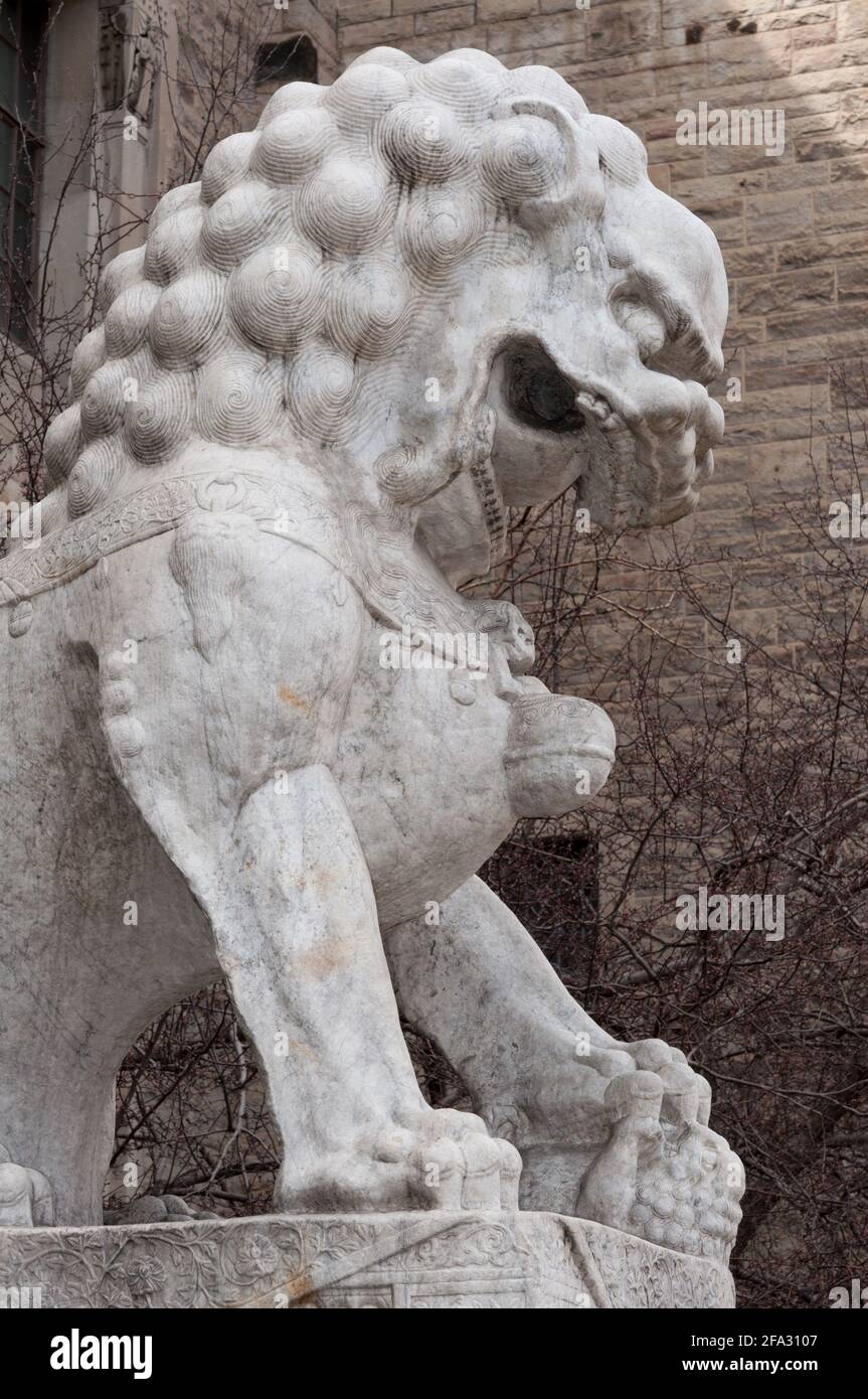 Royal Ontario Museum (Toronto) - leone guardiano cinese - Vicino profilo, lato sinistro Foto Stock