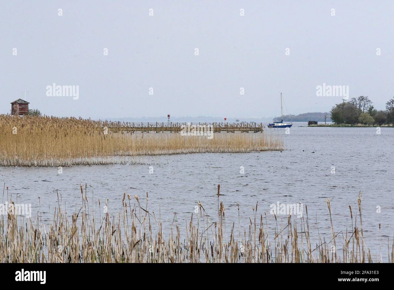 Oxford Island, Lough Neagh, County Armagh, Irlanda del Nord, Regno Unito. 22 Apr 2021. Tempo nel Regno Unito – una giornata tranquilla con una forte pressione prevalente. Dopo un inizio pigro il sole ha cominciato a bruciare attraverso il sottile strato di nube ed è di rimanere asciutto almeno fino all'inizio della prossima settimana. Uno yacht diretto al porto turistico di Oxford Island, Lough Neagh. Credit: CAZIMB/Alamy Live News. Foto Stock