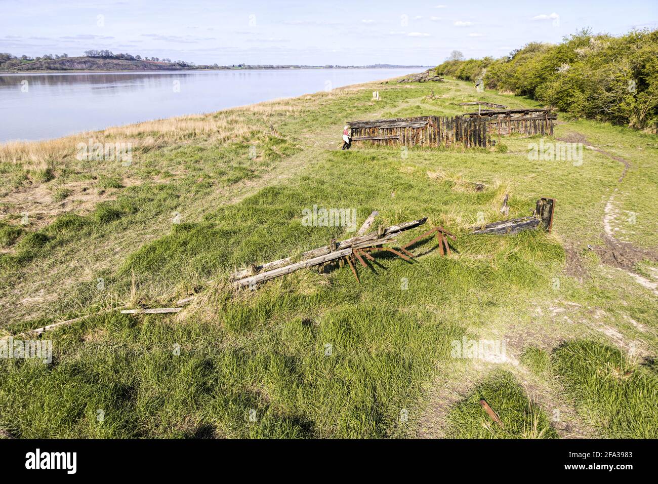 I resti di un certo numero di navi volutamente spiaggiate sulle rive del fiume Severn per prevenire l'erosione al Purton Hulks o cantiere navale. Foto Stock