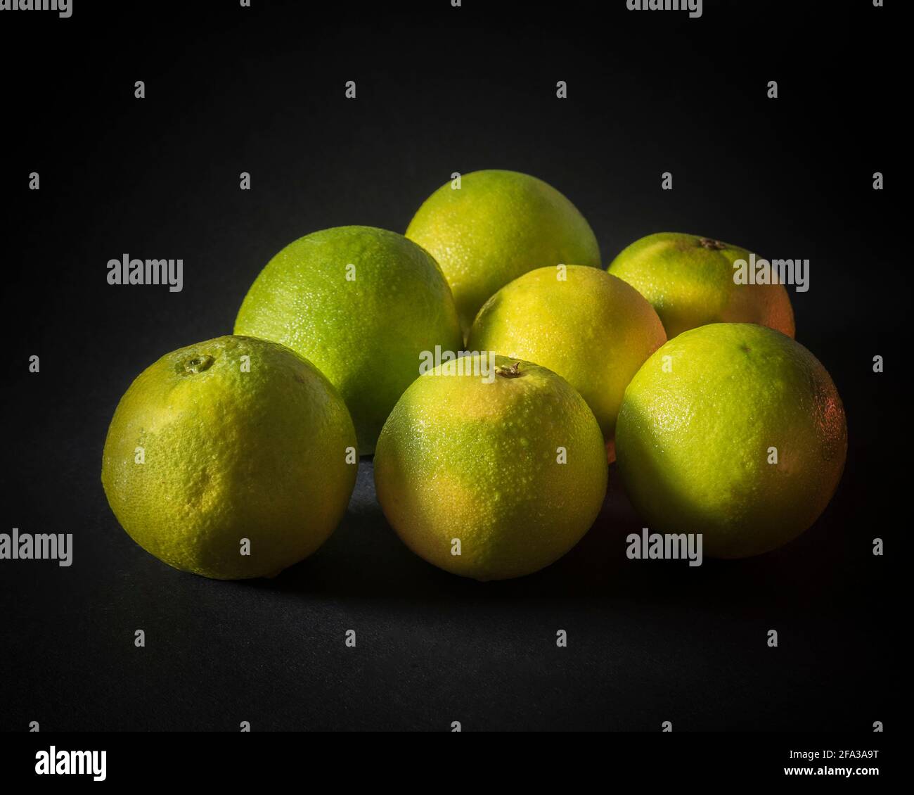 Limetta di agrumi comunemente conosciuta come mousami, musami, lime dolce, limone dolce e limetta dolce, In India, è comunemente chiamato mausambi, mosambi, è Foto Stock