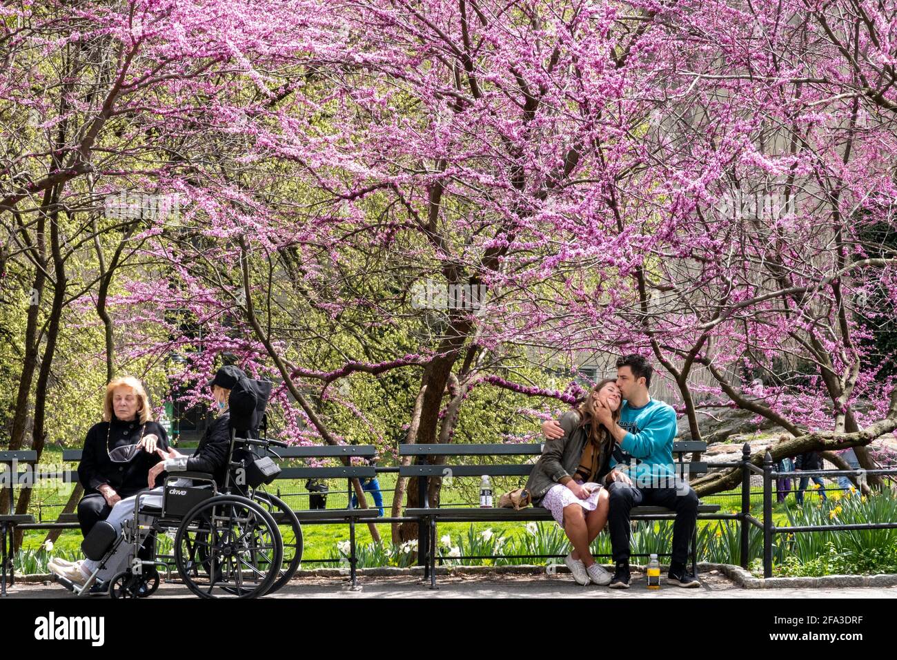 New York City i residenti e i turisti godono di Central Park in primavera, STATI UNITI D'AMERICA Foto Stock